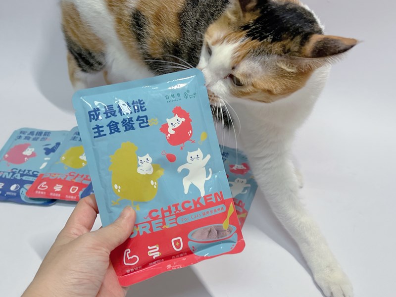 試用